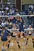 T/SETTERS COLLEGE ACTION 15.4"