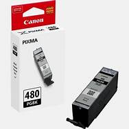 Canon pgi-480pgBk blk 200p
