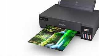 *Epson LQ-2190