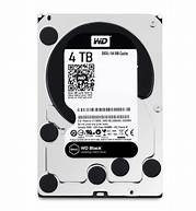 [HD-W4000K] WD4005FZBX 4Tb blacK