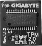 [MB-GATPM] Gigabyte TPM module