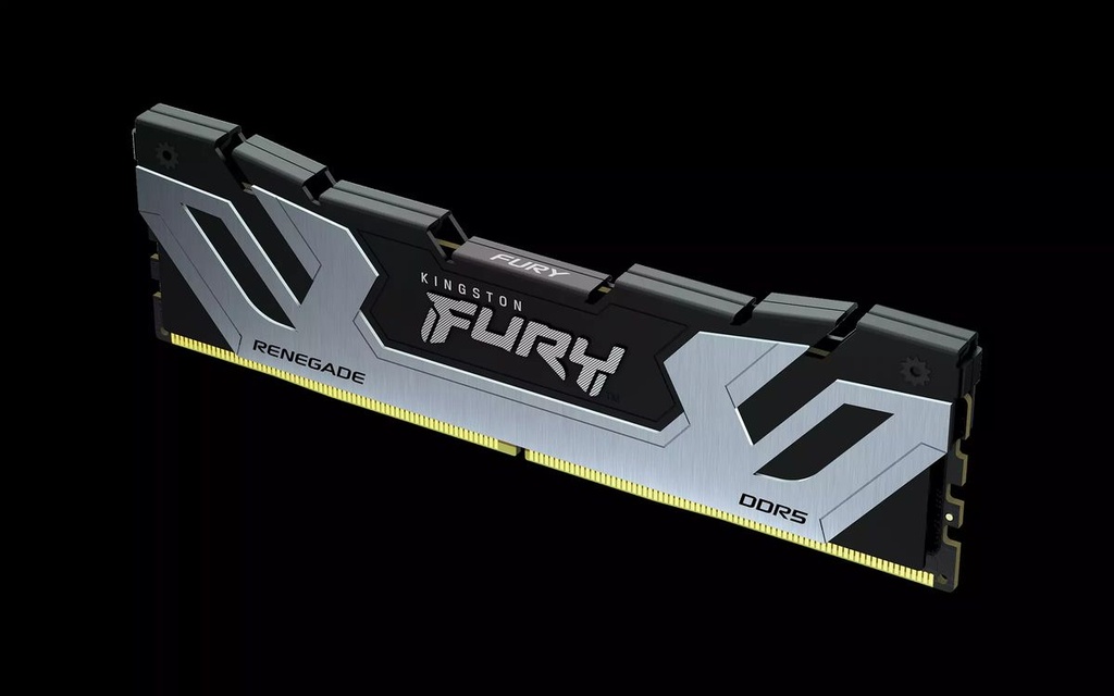 Kingston Fury Renegade - 16GB x1 (16GB) , DDR5-6400MT/s , CL32 , Black