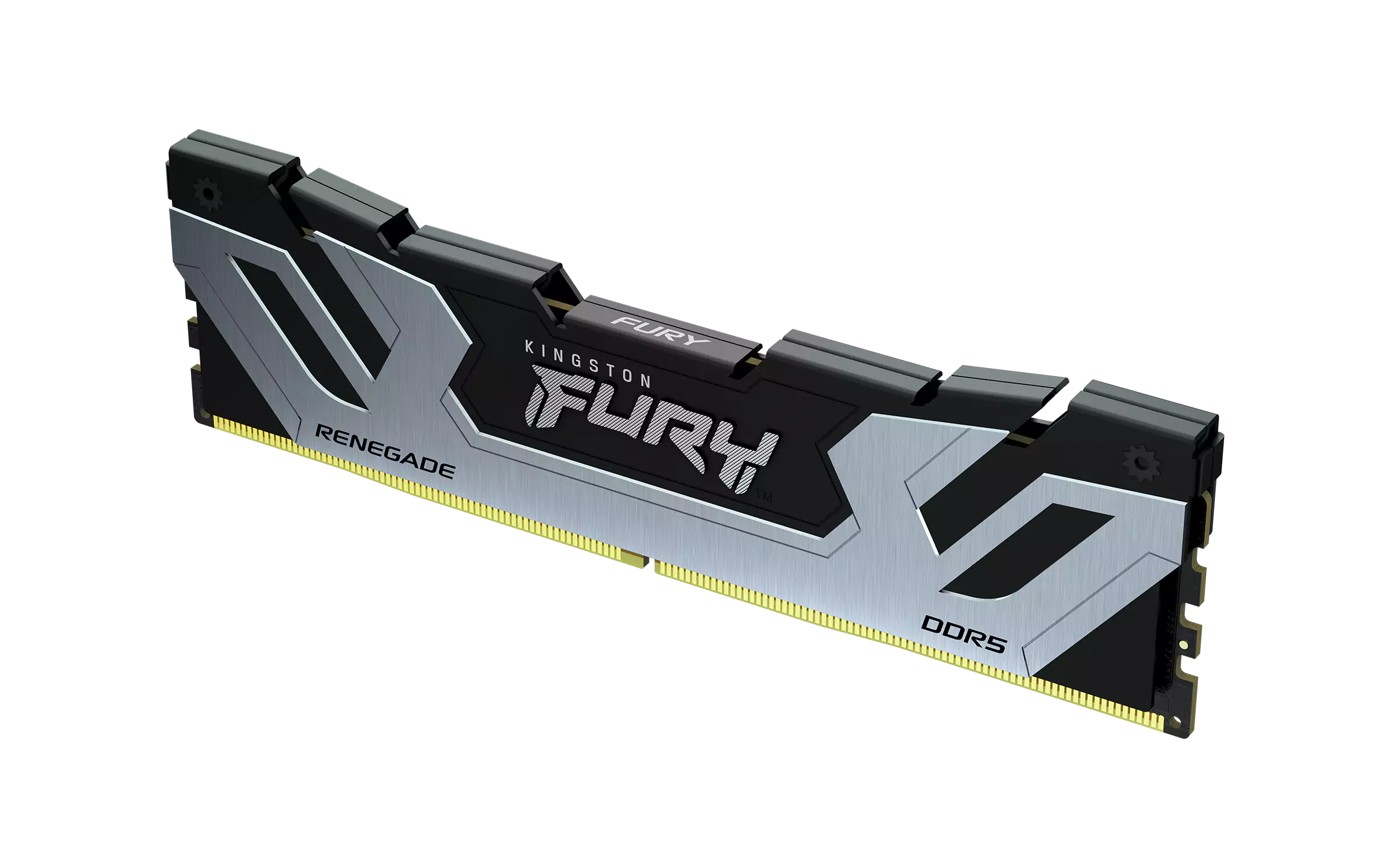 Kingston Fury Renegade - 16GB x1 (16GB) , DDR5-6600MT/s , CL32 , Black