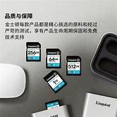 [SD-1024GKXCG4] SDG4/1TB sdXc CanvasGo