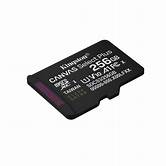 SDCS3/256GB miCro sdXc Canvasp