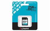 *SDG4/256GB sdXc CanvasGo