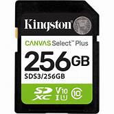 SDS3/256GB sdXc Canvas SP