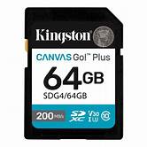 [SD-64GKXCG4] SDG4/64GB sdXc CanvasGo