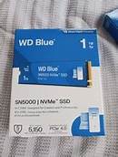 [SS-WG1TLSN5000] WDS100T4B0E nGff 1T SN5000