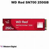 [SS-WG250RSN700] S250G1R0C nGff/m.2 250 R.SN700