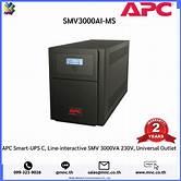 *APC easy-ups SMV3000Ai